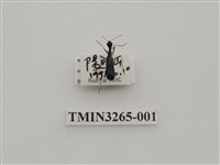 藏品(綠長頸虎甲蟲)的圖片